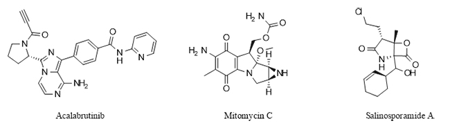 Nitrogen-containing heterocyclic drugs