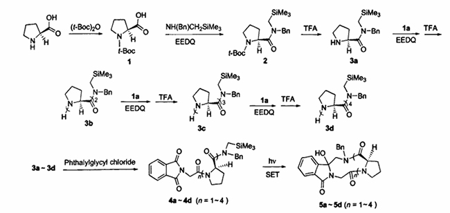 Synthesis route of nitrogen-containing heterocyclic proline peptides