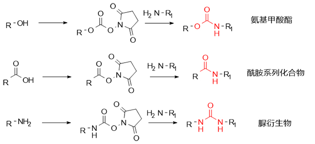 DSC-mediated synthesis pathway