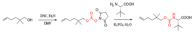DSC-mediated synthesis pathway