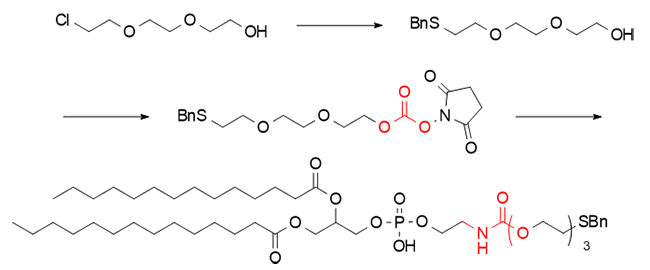 DSC-mediated synthesis pathway