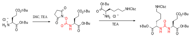 DSC-mediated synthesis pathway
