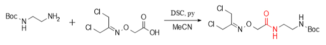 DSC-mediated synthesis pathway