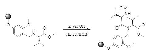 HBTU-mediated solid-phase peptide synthesis