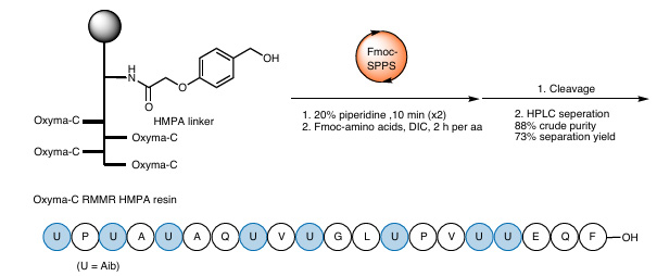 Synthesis of alamethicin F analogues