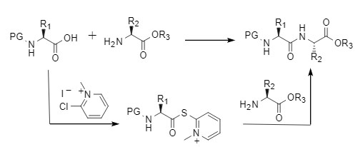 Condensation reaction mediated by Mukaiyama reagent
