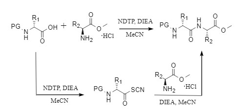 NDTP-mediated condensation reaction